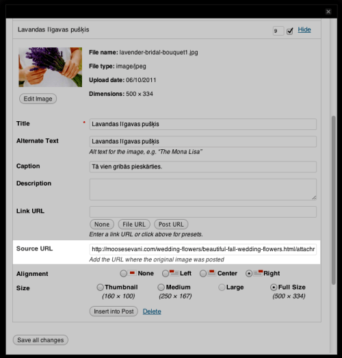 Attached image Source URL input field