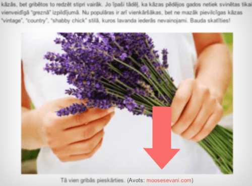 Add image author or source URL to photos in WordPress
