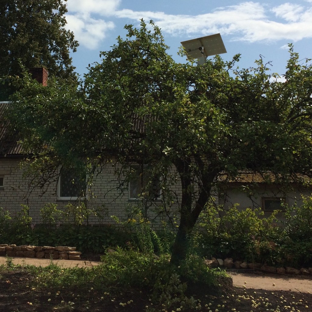 Raspberry Pi in a dummy security camera in a tree.