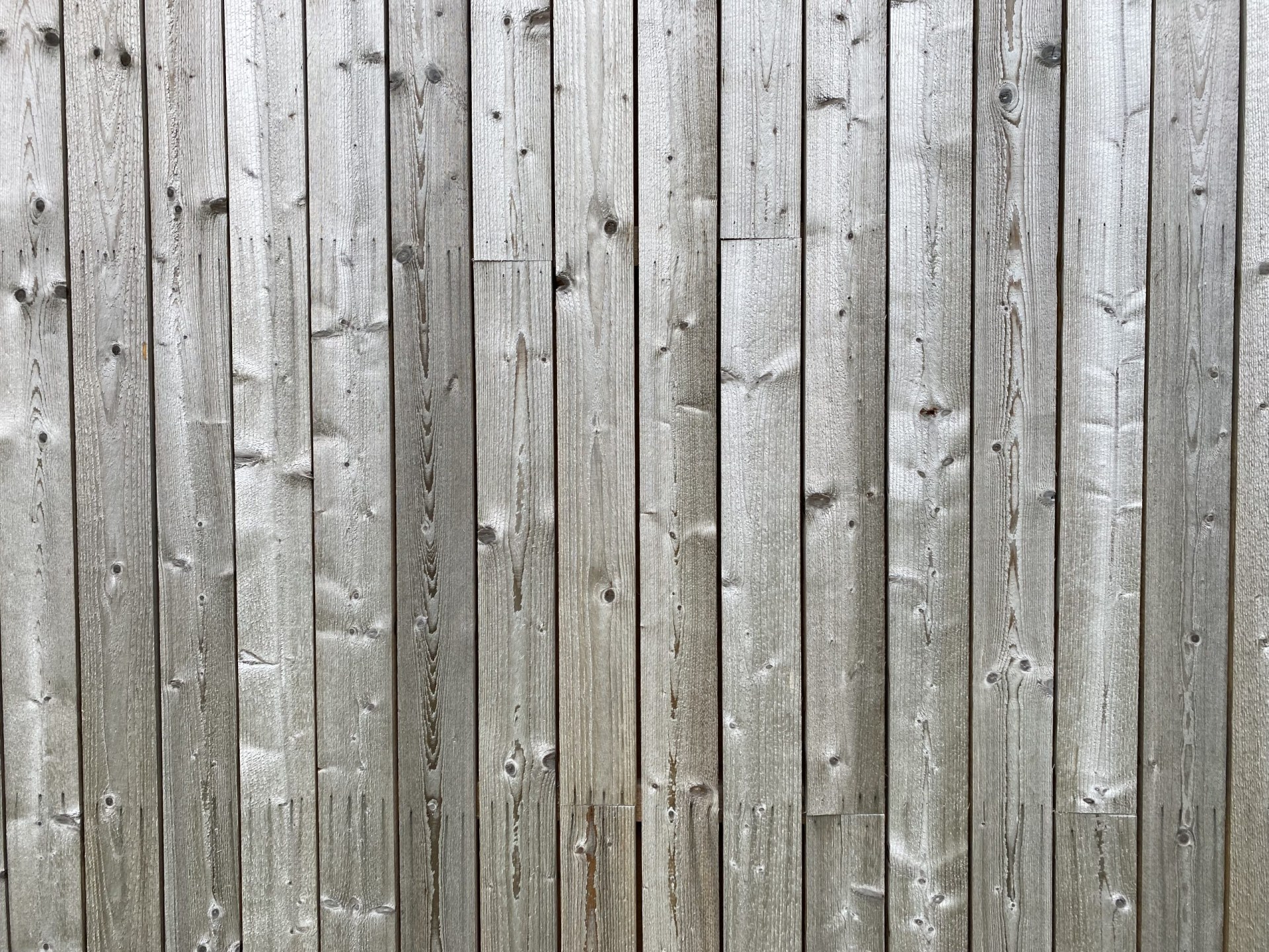 Closeup of siding 24h after applying the iron (ii) sulphate 4% solution