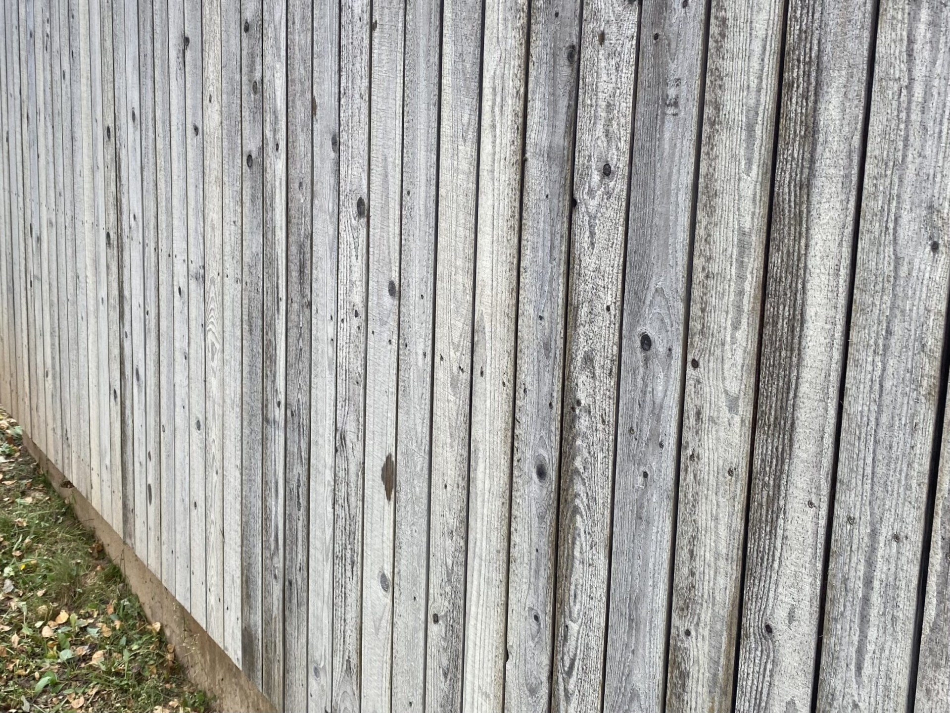 Unreacted salts crystallize as white residue on the wood surface